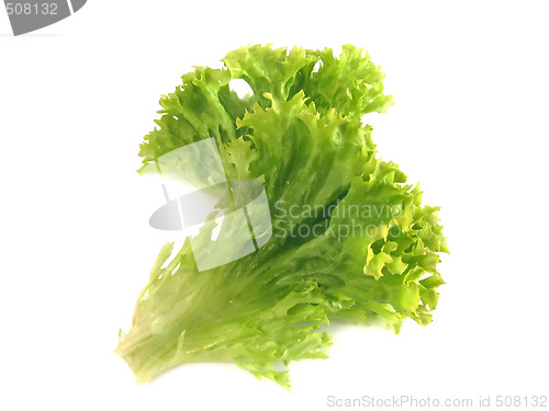 Image of Green salad