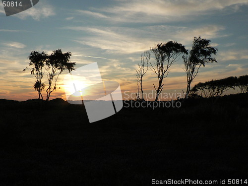 Image of Sunset over trees