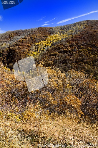 Image of Countryside in the Mountains