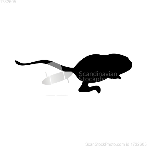 Image of Five-Toed Dwarf Jerboa Silhouette