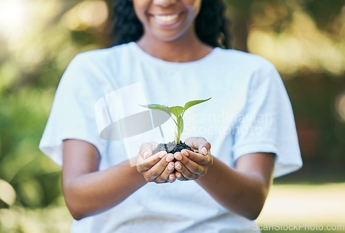 Image of Black woman hands, plants and growth for earth day, sustainability and gardening, agriculture and farming hope. Green leaf, eco friendly and sustainable person with soil in palm for agro volunteering