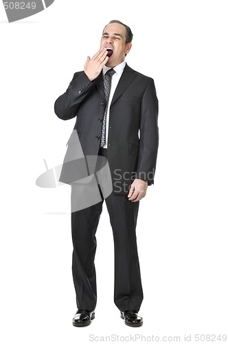 Image of Businessman on white background