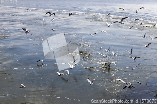 Image of seascape on the Baltic sea