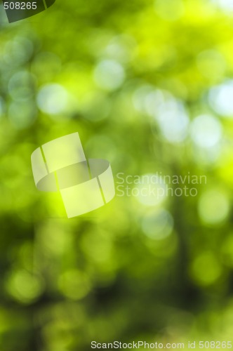 Image of Green background