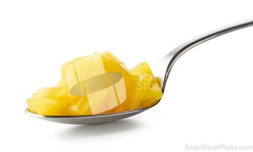 Image of spoon of canned jackfruit