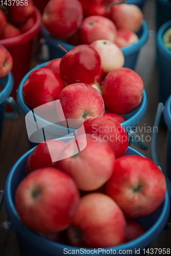 Image of Bucket with apples