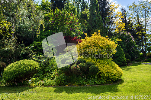 Image of Beautiful summer garden concept