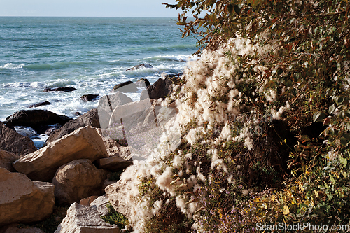 Image of Autumn coast of the Caspian Sea.