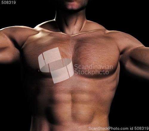 Image of man torso