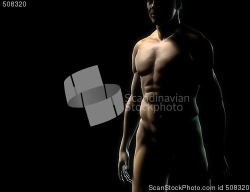 Image of man torso