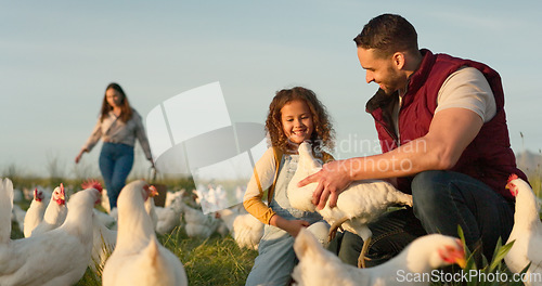 Image of Chicken, farm and family love of happy mom, dad and child enjoy quality time together, talking and bond on countryside field. Poultry farming, free range bird and animal livestock with farmer people