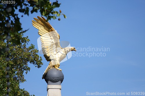 Image of golden eagle in London UK