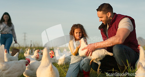 Image of Mother, father and child with a chicken on a farm playing having fun farming and harvesting organic poultry livestock. Happy family, mom and dad enjoy quality time, memories and bonding with a girl