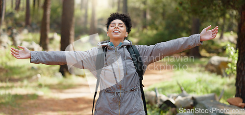 Image of Beauty, sunshine and freedom for girl hiking in nature forest or woods for peace, fitness exercise or training workout. Travel adventure, wellness journey or black woman trekking in Amazon Rainforest