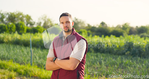 Image of Portrait, sustainability and farmer man working outdoor on grass field or land. Arms crossed, agriculture or profesional farming male, worker or business owner from usa, career in the farm industry