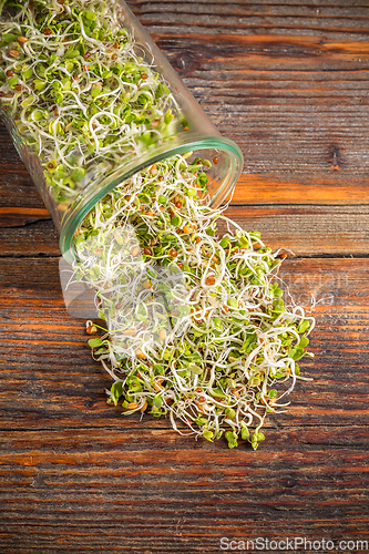 Image of Various sprouts