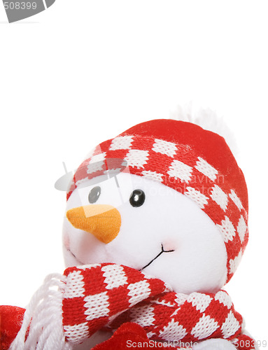 Image of Little Snowman Portrait