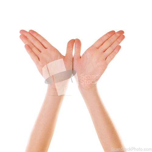 Image of Hands, bird and mockup with a person in studio isolated on a white background for branding or a logo. Social media, abstract and creative with a woman on blank space making a hand sign or gesture