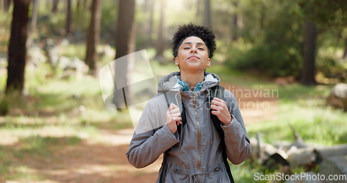Image of Hiking, thinking and adventure with a black woman in nature, sightseeing while walking on a trail outdoor. Freedom, travel and health with a young female hiker out for discovery and exploration