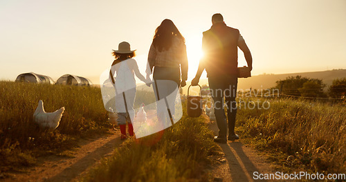 Image of Mother, father or child bonding on chicken farm, poultry agriculture field or Brazilian sustainability environment. Smile, happy and farmer family with birds for meat, food or eggs industry at sunset