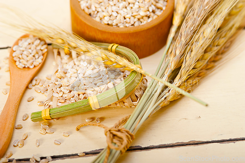 Image of organic barley grains