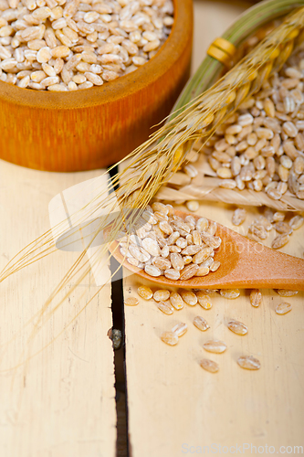 Image of organic wheat grains
