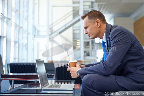 Image of News, coffee focus and businessman with a laptop for work, communication and internet. Business, working and man reading email, information and corporate chat on a computer with tea in an office