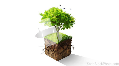Image of Tree, graphic and green sustainability for eco friendly, nature or care for earth environment. Trees, climate change or sustainable development of planet, recycle or soil by isolated white background