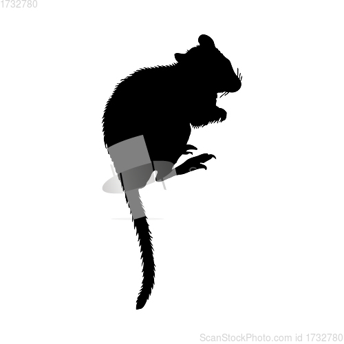 Image of Kangaroo Rat Silhouette