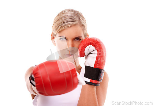 Image of Portrait, woman and boxer training, match and fitness for competition, workout or girl isolated on white studio background. Female athlete, fighter and lady with boxing gloves, practice or tournament