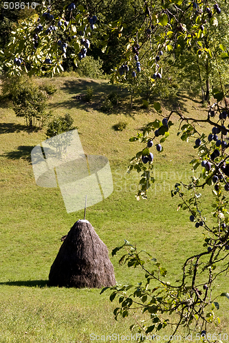 Image of traditional haystack rural scene