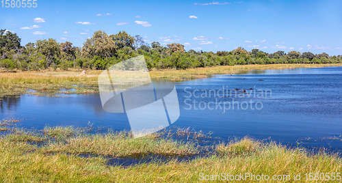 Image of Moremi game reserve landscape, Botswana Africa wilderness