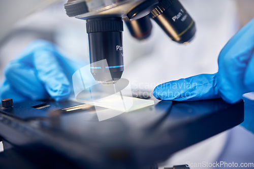 Image of Microscope, bacteria or hands working in a science or chemistry laboratory for future healthcare innovation. Research, biotechnology or scientist testing germs, molecules or particles on petri dish