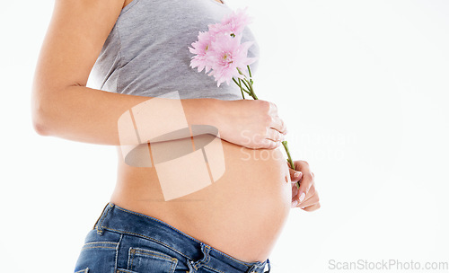 Image of Flower, pregnant and woman in studio for health, wellness and gentle skincare on white background. Daisy, plant and pregnant woman hand on belly for care, beauty and product in nature on mockup