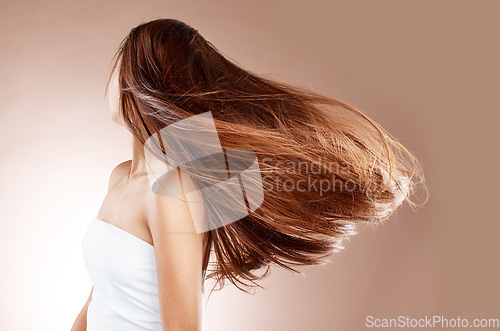 Image of Beauty, hairstyle and hair care of woman in studio on a brown background. Haircare, cosmetics and aesthetics of young female model with balayage after salon treatment for healthy growth and texture.