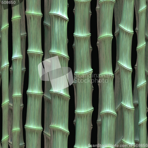 Image of green bamboo background