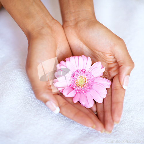 Image of Beauty, flower and spa with hands of woman for skincare, wellness and natural cosmetics. Spring, peace and floral with girl holding fresh daisy in salon for treatment, blossom and self care