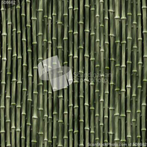 Image of Bamboo background