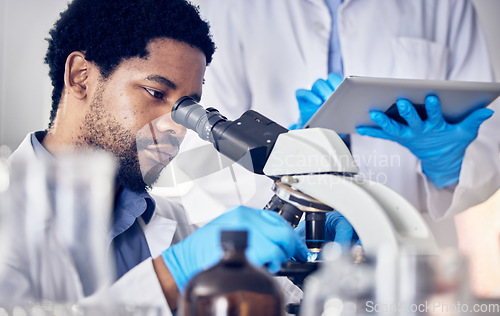 Image of Black man, scientist and microscope with science research in laboratory, data analysis and expert with scientific or medical innovation. Phd doctor, face and biotechnology, chemistry and study in lab