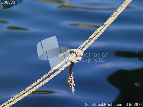 Image of rope