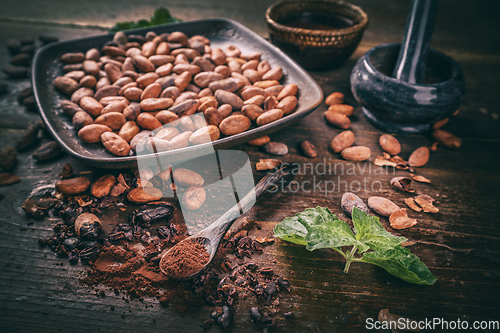 Image of Cacao beans and cacao powder