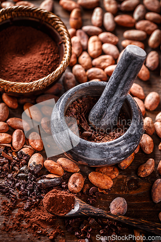 Image of Whole cocoa beans