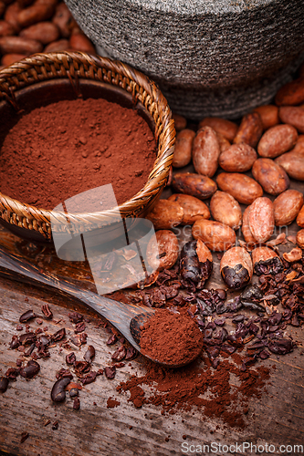 Image of Cacao beans and cocoa powde