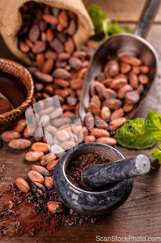 Image of Cocoa beans
