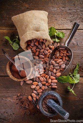 Image of Top view of cocoa beans