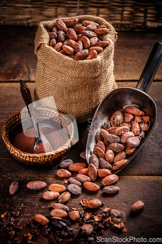 Image of Organic cocoa beans