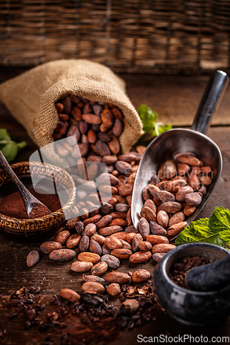 Image of Still life of cocoa beans