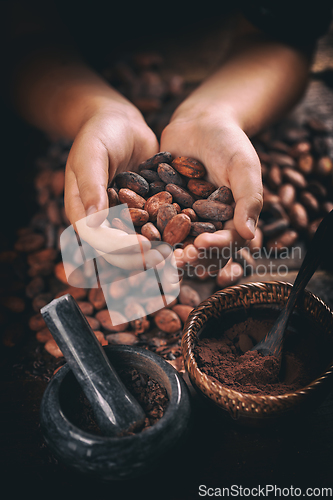 Image of Aromatic cocoa beans