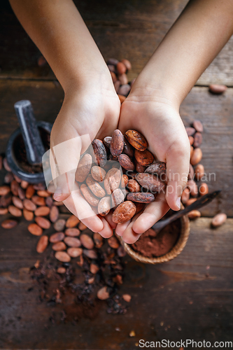 Image of Hand holds cocoa beans