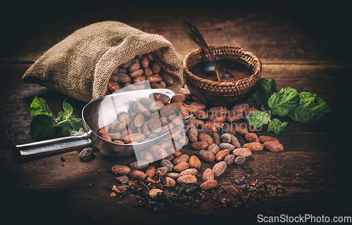 Image of Still life of cocoa